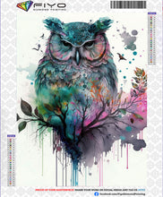 Load image into Gallery viewer, 5D Diamond Painting Owl Kits