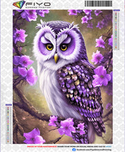 Load image into Gallery viewer, 5D Diamond Painting Owl Kits