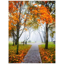 Load image into Gallery viewer, DIY 5D Diamond Painting Cross Stitch - crazypaisleyscraftsupplies