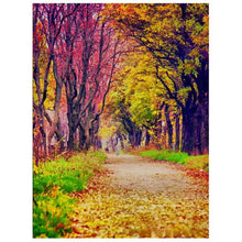 Load image into Gallery viewer, DIY 5D Diamond Painting Cross Stitch - crazypaisleyscraftsupplies