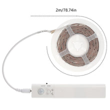 Load image into Gallery viewer, 1.8M Artificial Eucalyptus Rose Vine