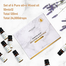 Load image into Gallery viewer, Candle Making Scented Fragrance Essential Oils