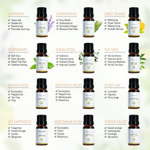 Load image into Gallery viewer, Candle Making Scented Fragrance Essential Oils