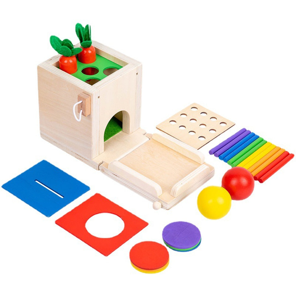 Montessori Toys 4 In 1 Baby Pull Carrot Set