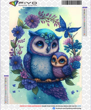 Load image into Gallery viewer, 5D Diamond Painting Owl Kits
