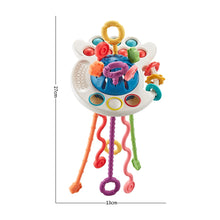 Load image into Gallery viewer, Pull String Developmental Baby  Teething Sensory Toy
