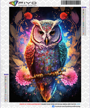 Load image into Gallery viewer, 5D Diamond Painting Owl Kits
