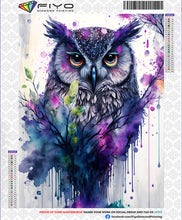 Load image into Gallery viewer, 5D Diamond Painting Owl Kits
