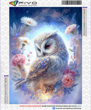 Load image into Gallery viewer, 5D Diamond Painting Owl Kits
