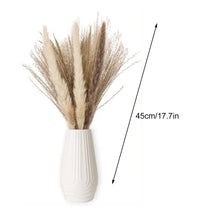 Load image into Gallery viewer, 75pcs Natural Dried Pampas Grass
