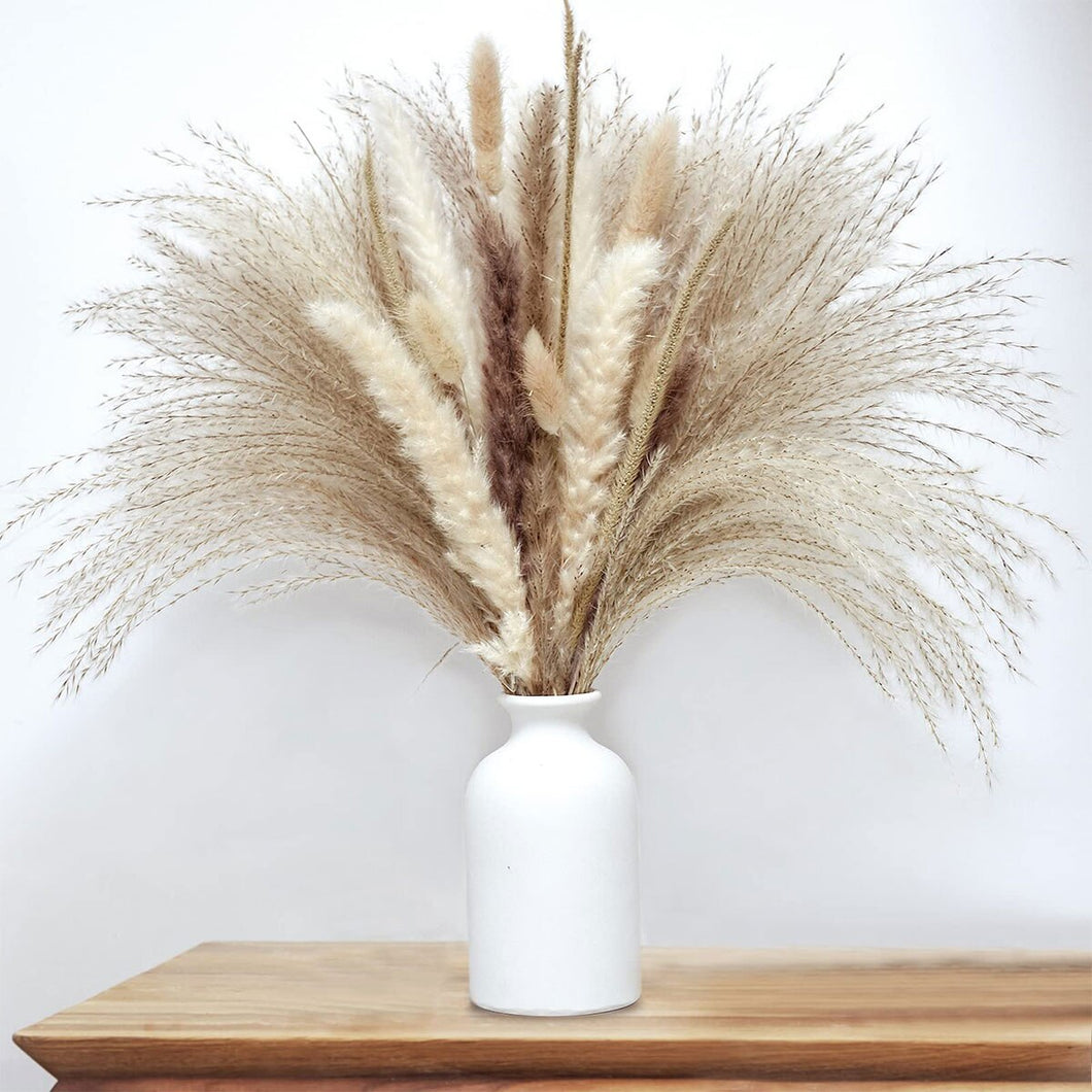 75pcs Natural Dried Pampas Grass