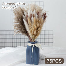 Load image into Gallery viewer, 75pcs Natural Dried Pampas Grass
